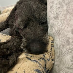 Meet your Posher, Norah